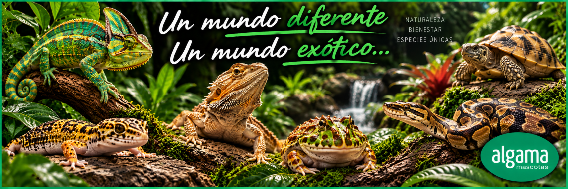 Un mundo diferente, un mundo exótico